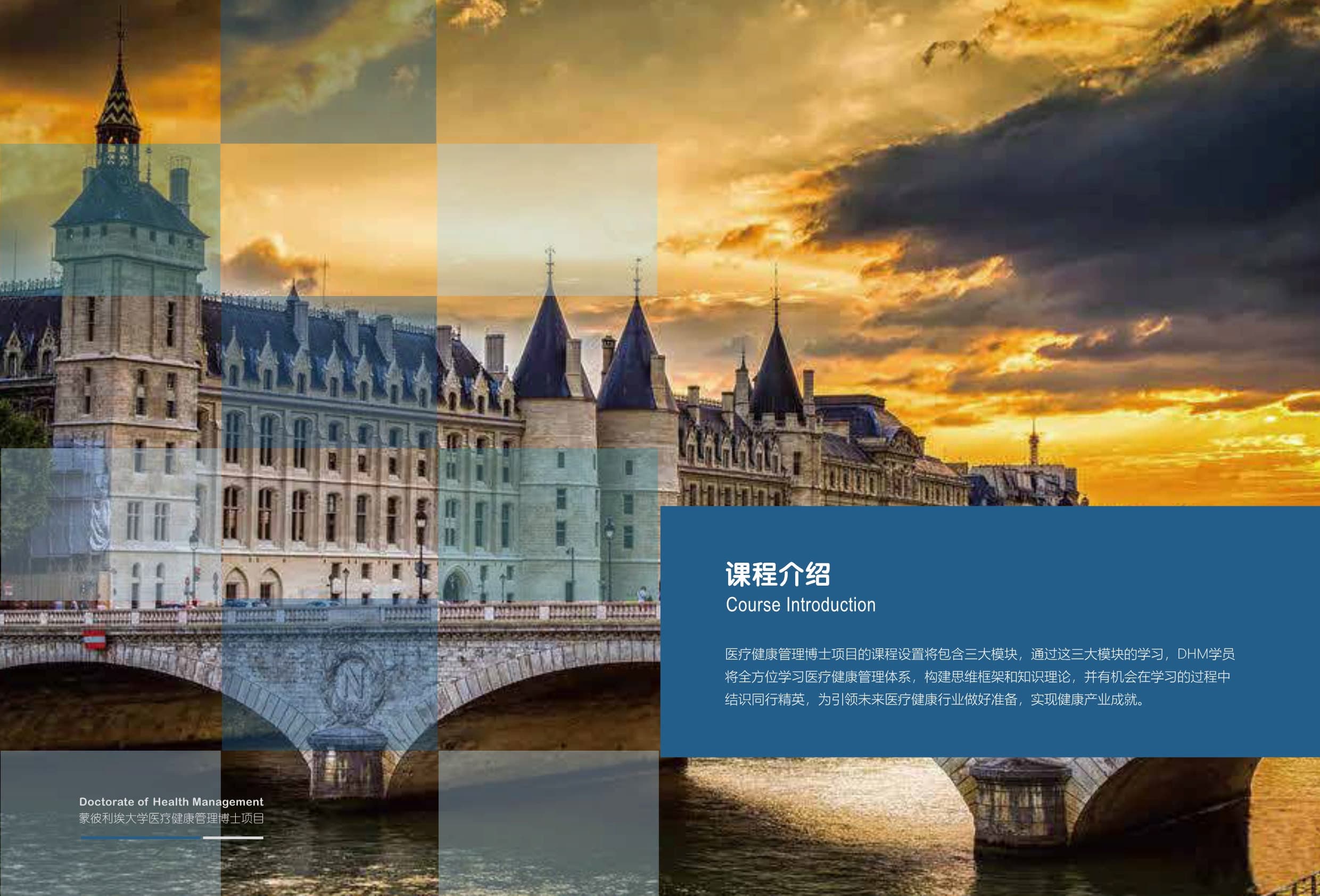 法國蒙彼利埃大學 DHM醫(yī)療健康管理 招生簡章_第9頁-min