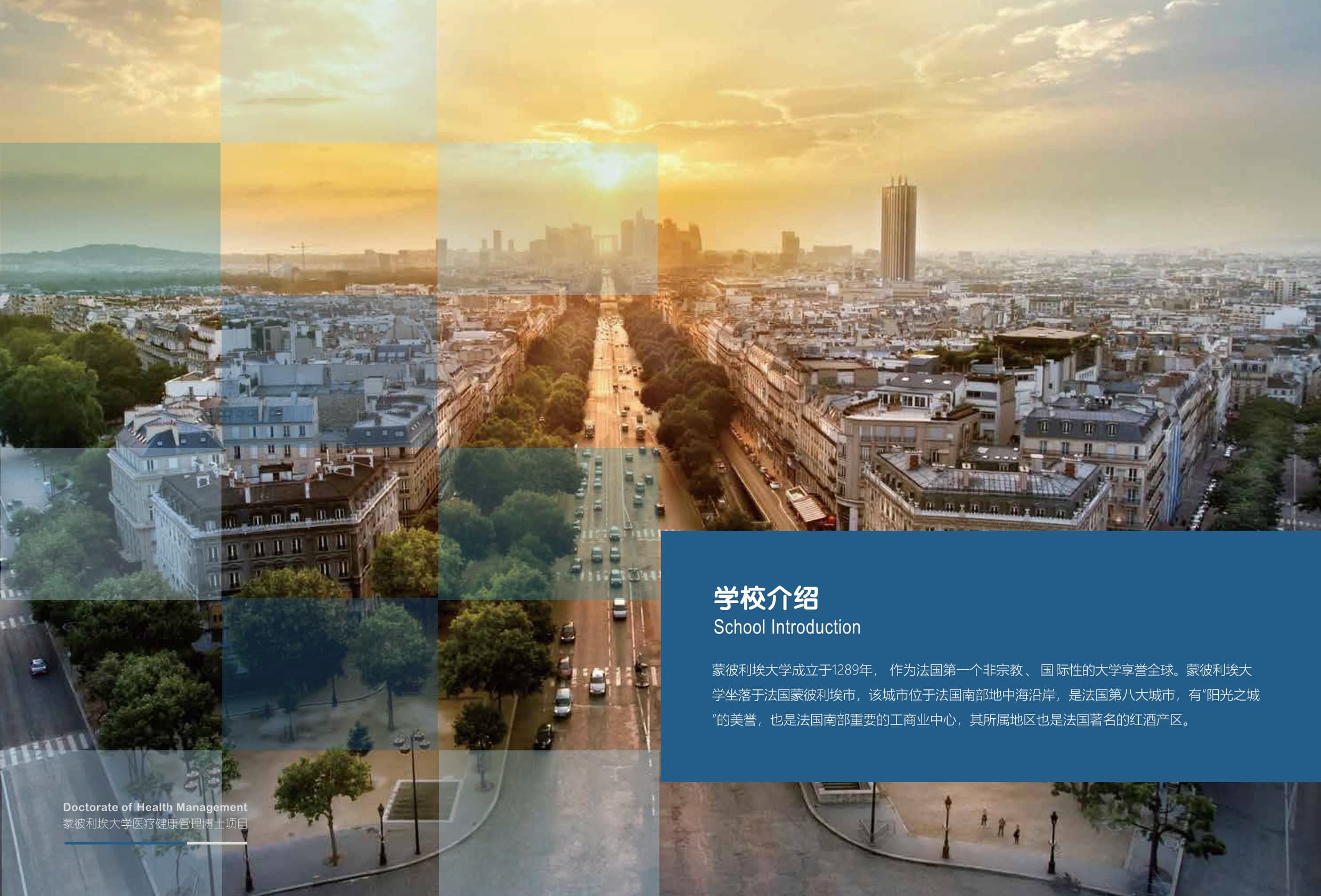 法國蒙彼利埃大學 DHM醫(yī)療健康管理 招生簡章_第6頁-min