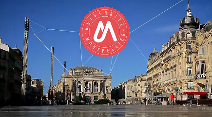 蒙比利埃大學DHM醫(yī)療健康管理博士