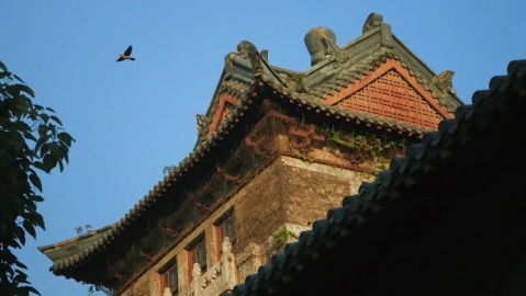 南京大學(xué)荷蘭馬斯特里赫特大學(xué)國(guó)際EMBA